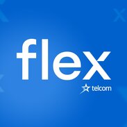 Flex Logo